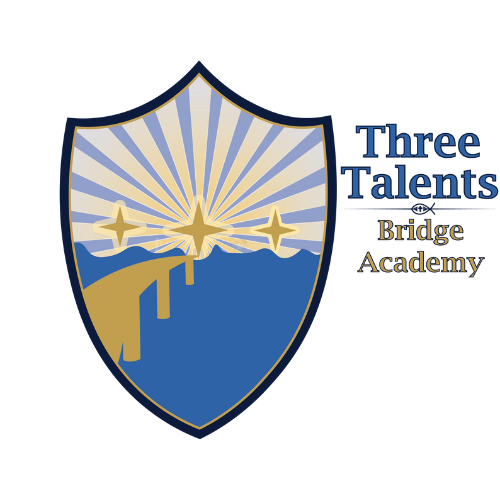 3T Bridge Academy logo (65.0.230803)