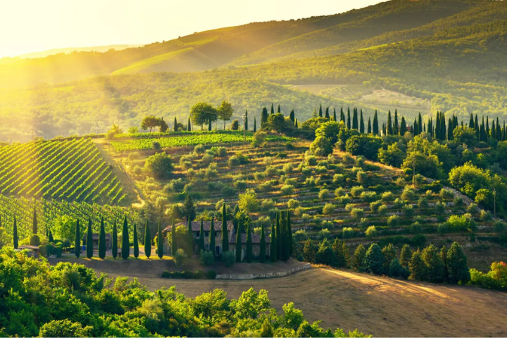 Helicopter ride over Detroit