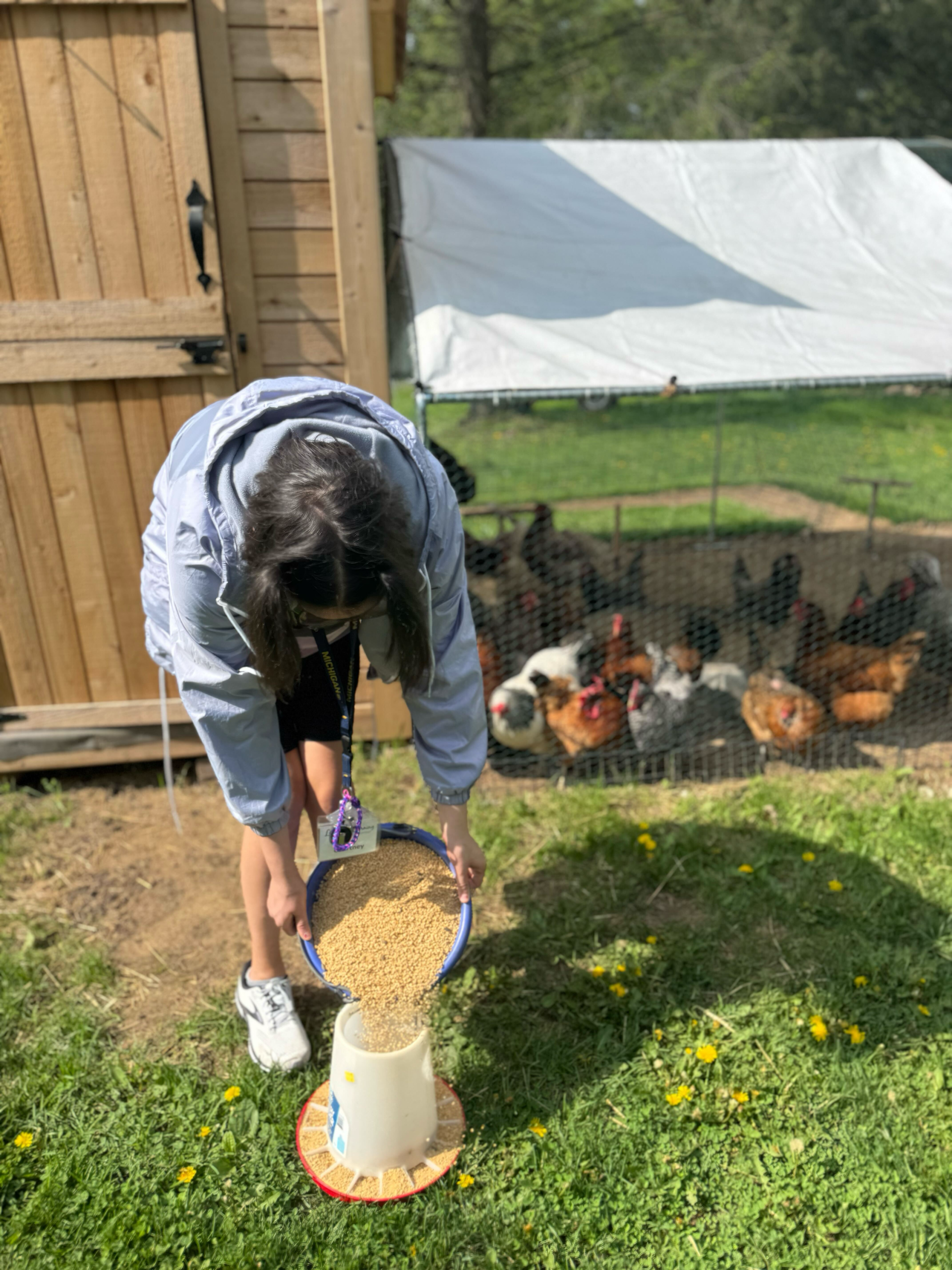 Photo Jun 27 2025, 2 50 45 PM (2)